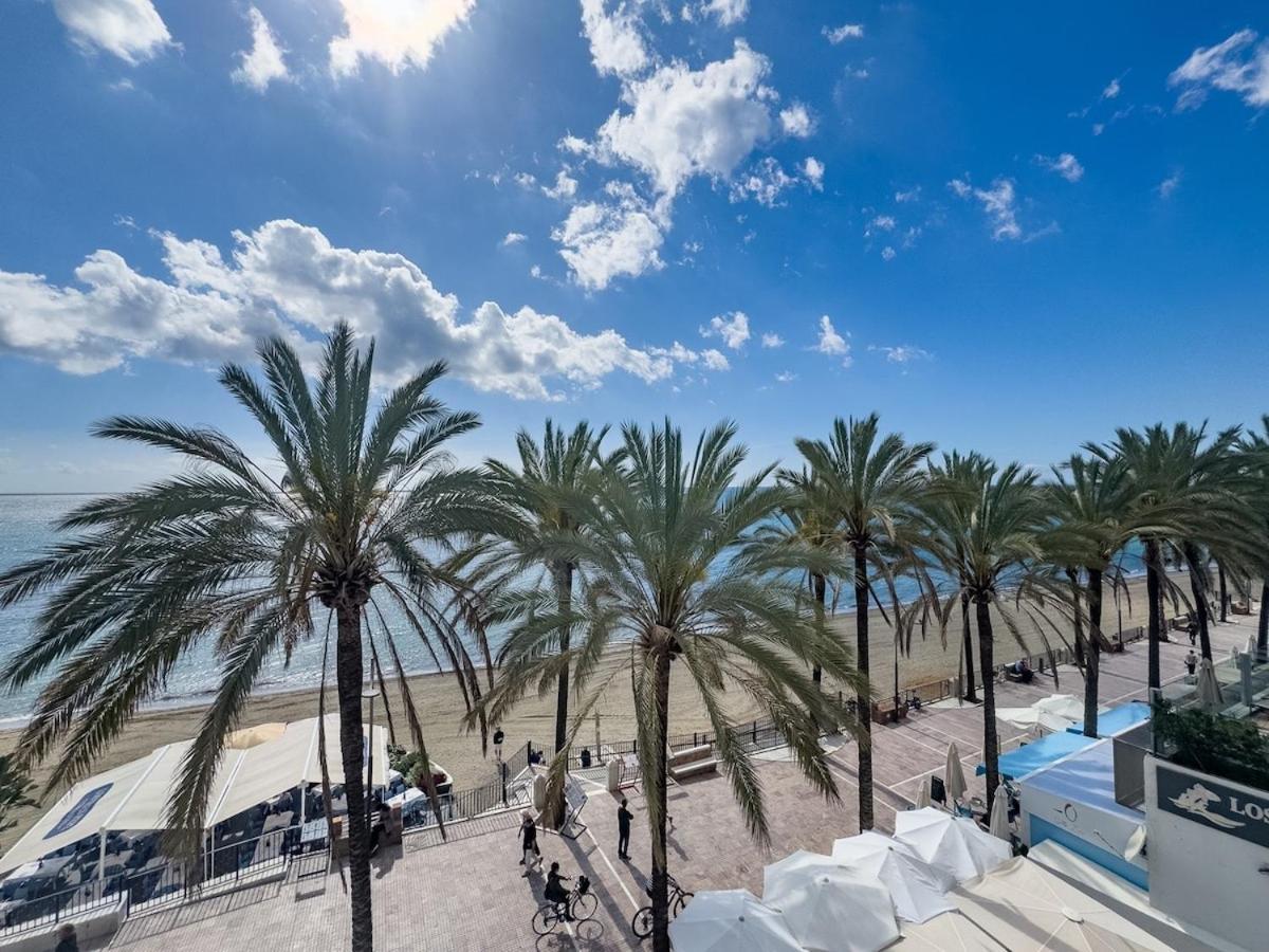 Palm 2f A Stylish Seaside